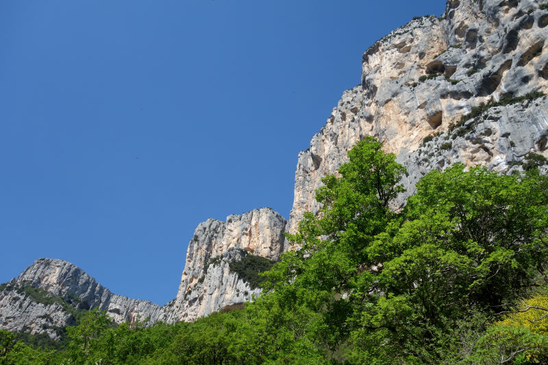 Le pareti dell'Escales dal fondo delle gole, lungo il sentiero Martel.