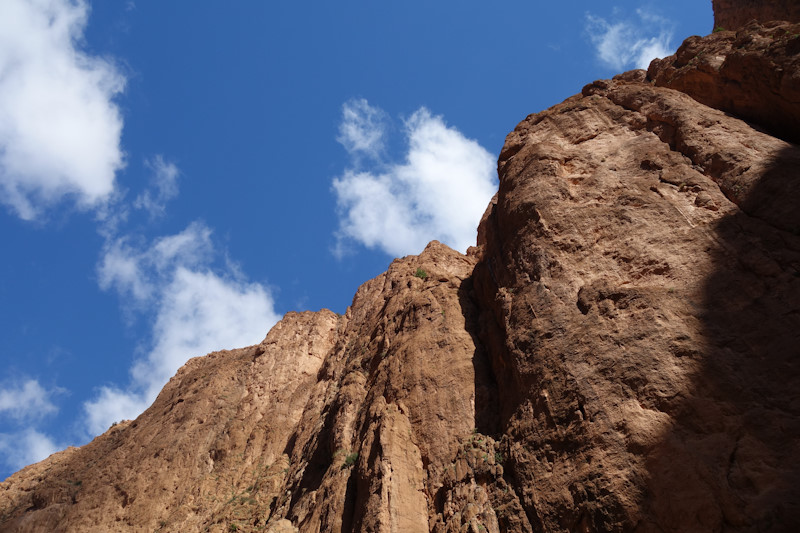 Le vertiginose pareti delle gole di Todra.