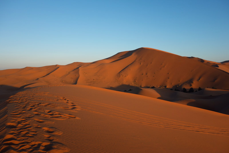 Una delle dune più grandi dell'erg Chebbi all'alba.