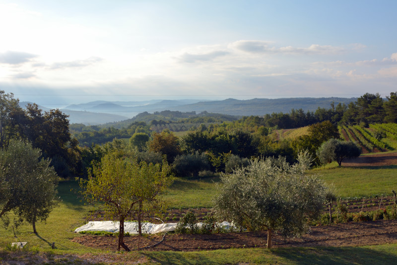 Panorama dall'appartamento affittato in via Sveti Ivan 65, Bijele Zemlje (Terre Bianche) (18-19/08/2016).